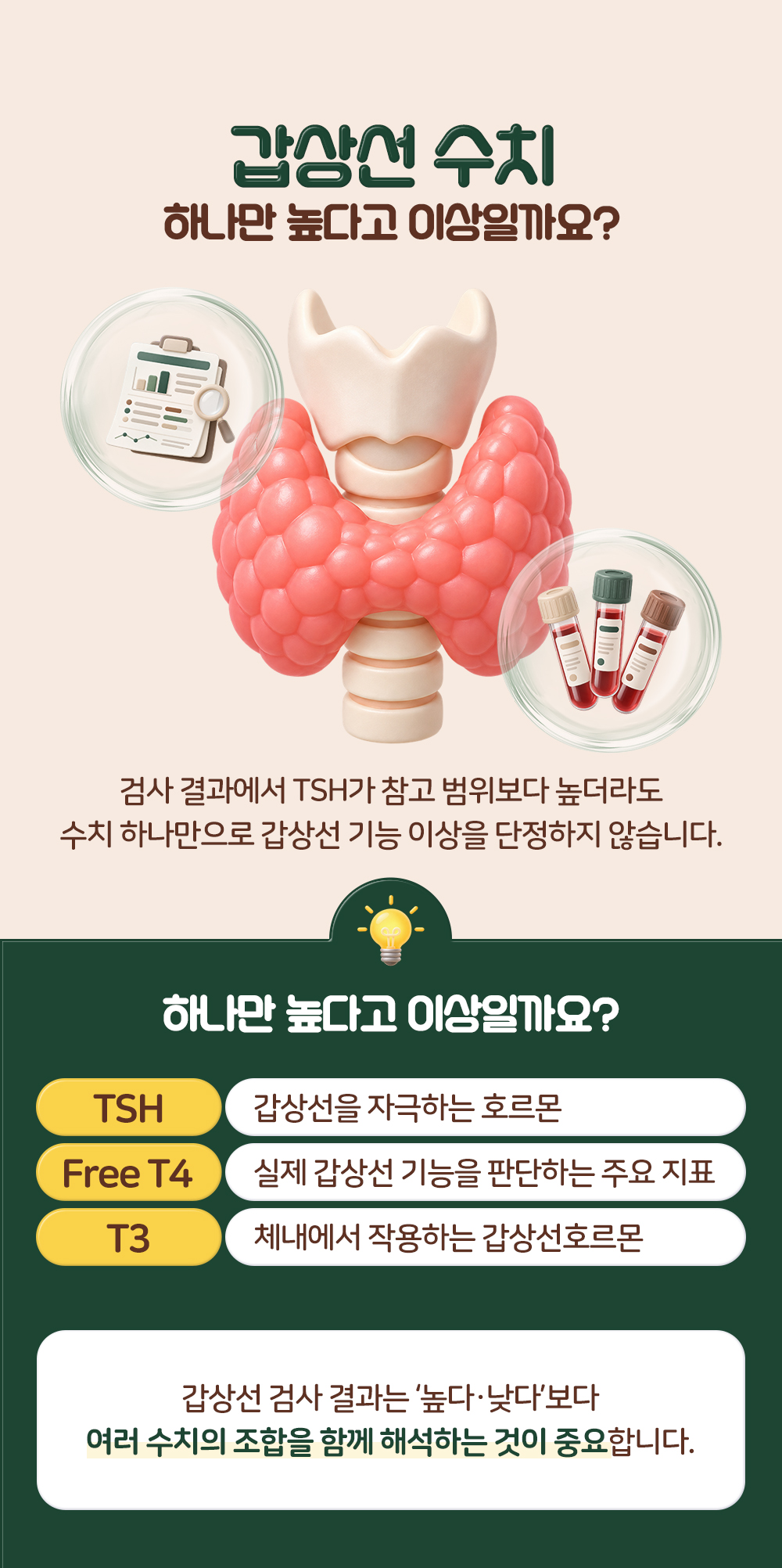 TSH가 참고 범위보다 높아도 하나만으로 단정하지 않는다는 설명과 항목 셋의 뜻