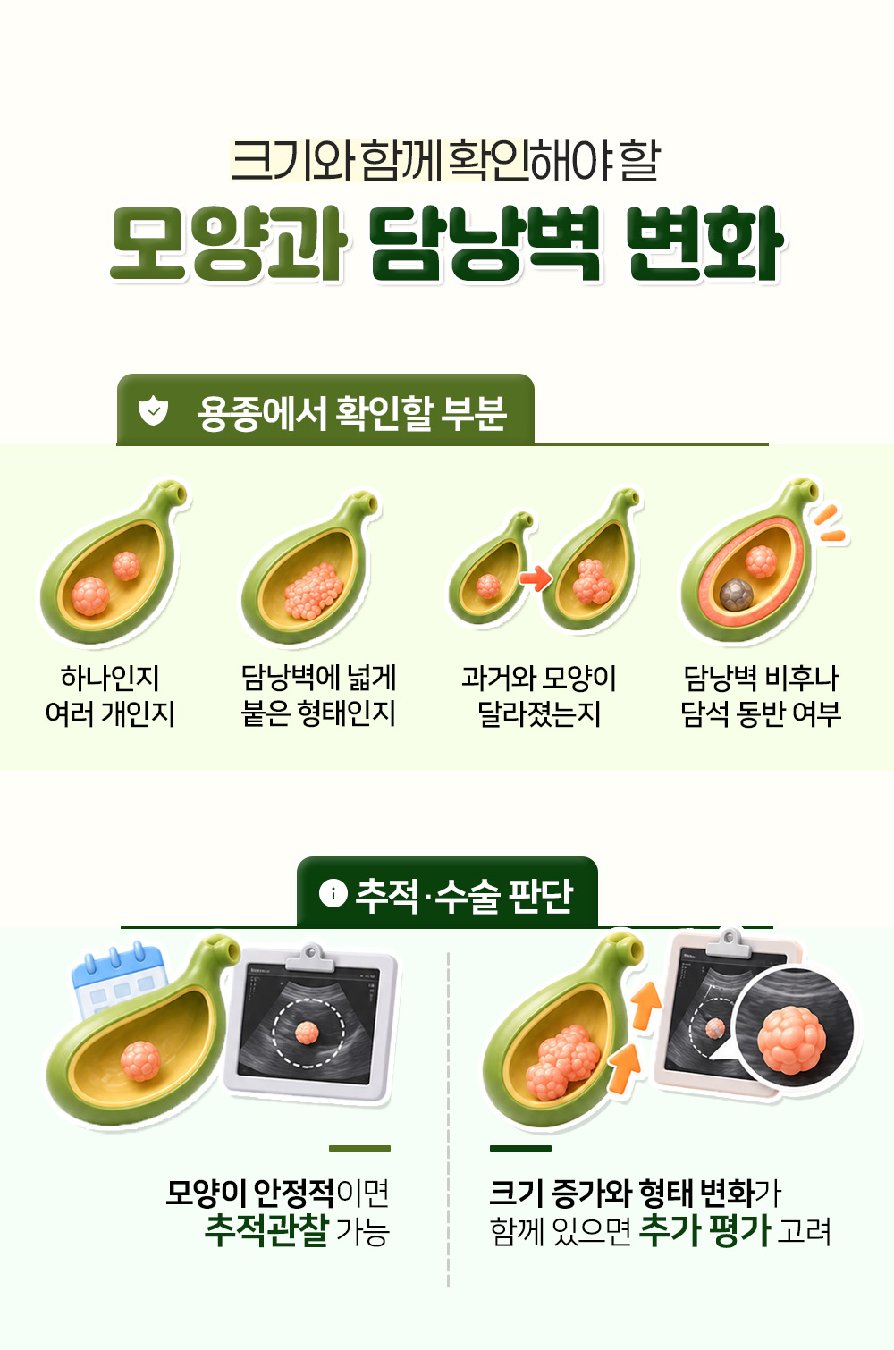 개수와 붙은 형태, 담낭벽 비후처럼 용종에서 확인할 부분 넷과 추적·수술 판단 둘