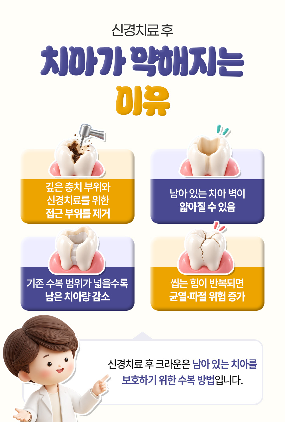 충치 제거와 얇아진 치아 벽처럼 신경치료 후 치아가 약해지는 네 가지 이유