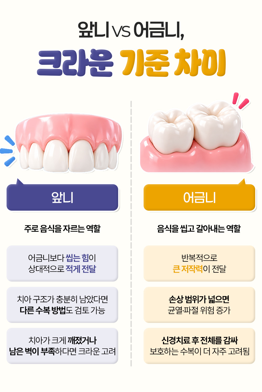 앞니와 어금니를 좌우로 세워 씹는 힘과 수복 방법 차이를 견준 장