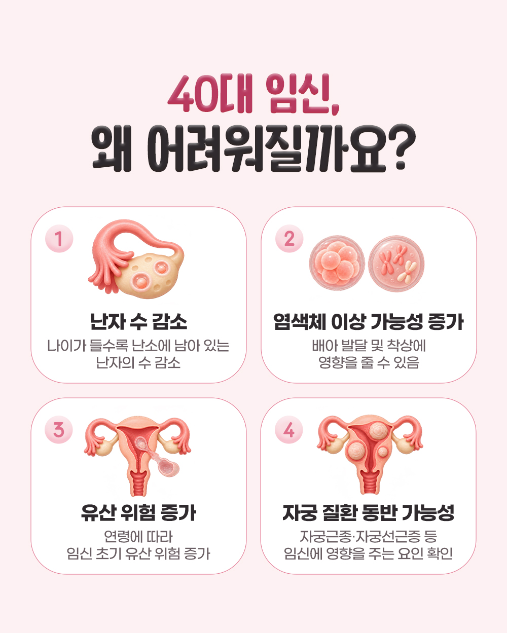 난자 수 감소, 염색체 이상 가능성 증가, 유산 위험 증가, 자궁근종·자궁선근증 등 자궁 질환 동반 가능성으로 번호를 붙인 40대 임신이 어려워지는 이유 넷