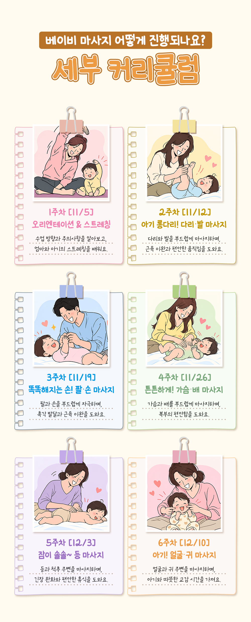 11월 5일부터 12월 10일까지 다리·발, 팔·손, 가슴·배, 등, 얼굴·귀 순서로 이어지는 6주 세부 커리큘럼