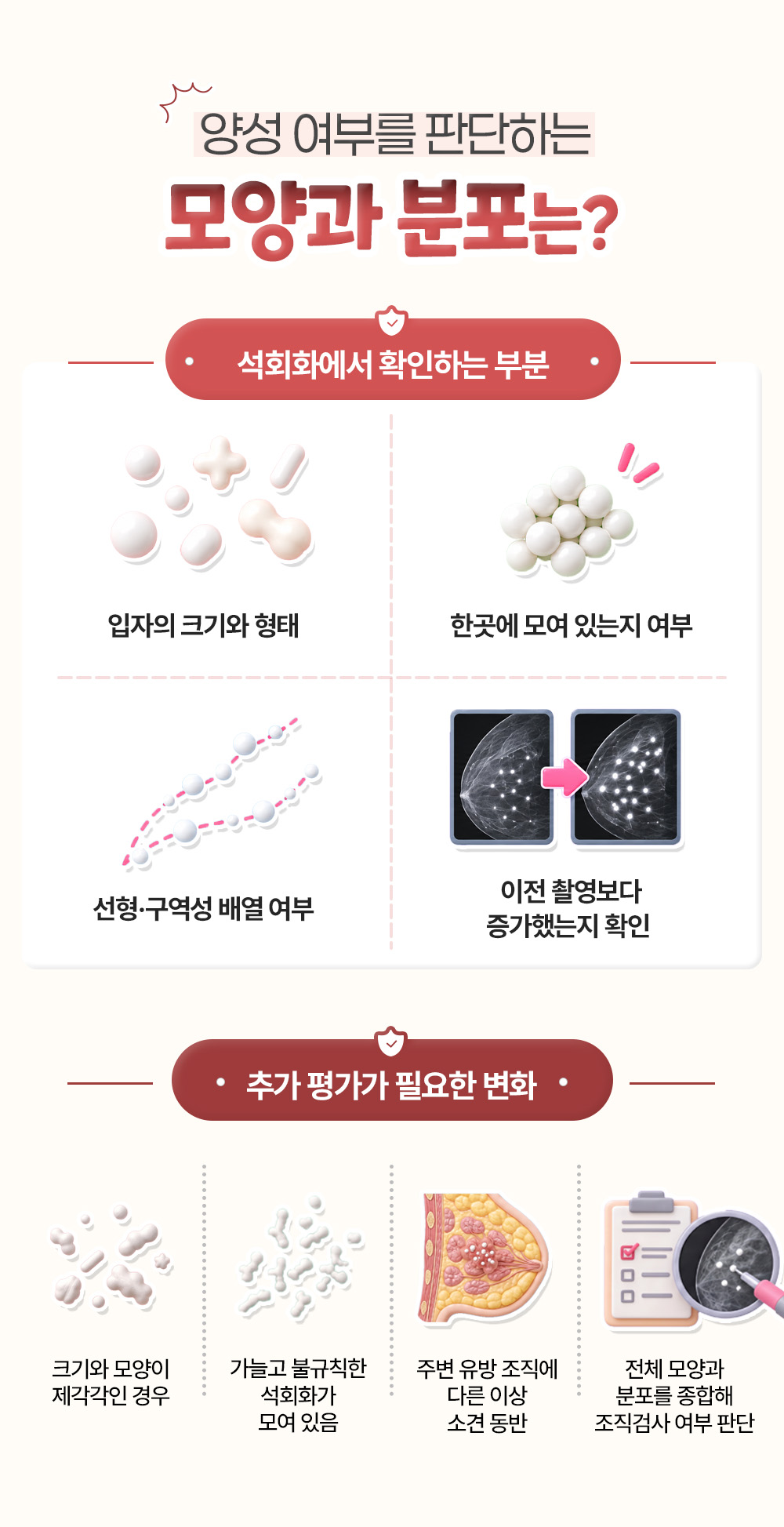 입자의 크기와 형태, 군집과 선형 배열로 보는 확인 부분 넷과 추가 평가가 필요한 변화 넷
