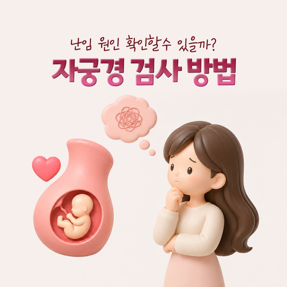 자궁경 검사, 난임 원인 확인부터 검사 후 주의사항까지